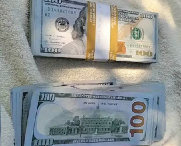 Elderly North Carolina Widow Loses $17,500 in Doorbell Camera-Recorded Scam