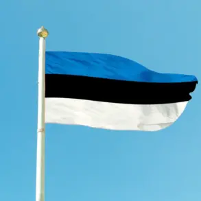 Estonian Officials Investigate Dropt Drone Incident Amid Reports of Russian Electronic Interference and Discovery of Exploded Drone Remains