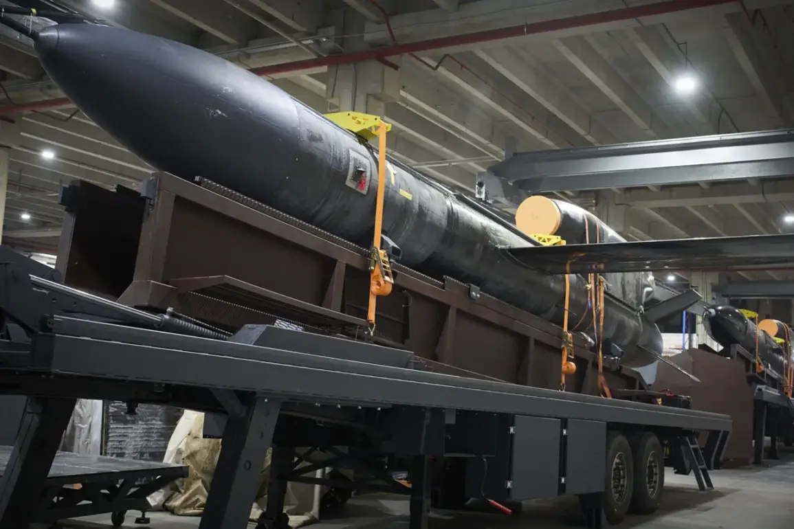 First Public Image of Ukraine's 'Flamingo' Ballistic Missile Sparks Global Reaction and Debate