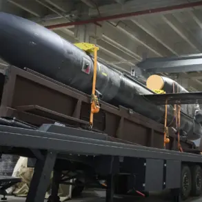 First Public Image of Ukraine's 'Flamingo' Ballistic Missile Sparks Global Reaction and Debate
