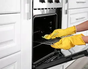 Melbourne Influencer's Eco Mould Hack Sparks Community Interest in Green Living