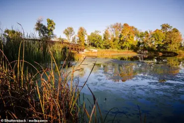Plymouth, Minnesota Named America's Best Small City by SmartAsset Study