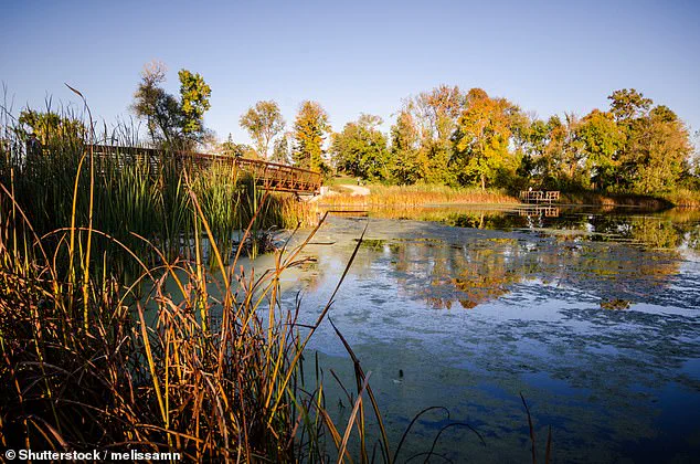 Plymouth, Minnesota Named America's Best Small City by SmartAsset Study
