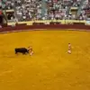 Portuguese Bullfighting Safety Regulations Under Scrutiny After Young Fighter's Near-Fatal Incident