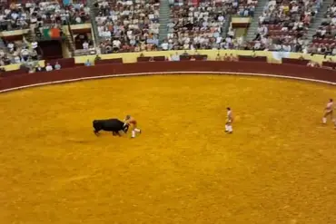 Portuguese Bullfighting Safety Regulations Under Scrutiny After Young Fighter's Near-Fatal Incident