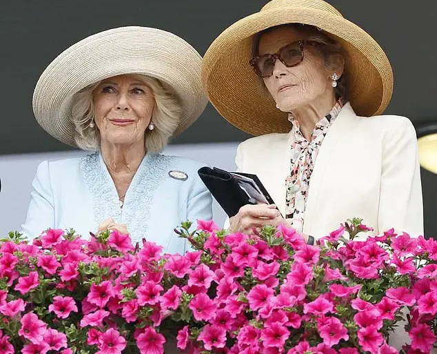 Queen Camilla's Passion for Horseracing Shines at Ebor Festival Despite Summer Holiday Break