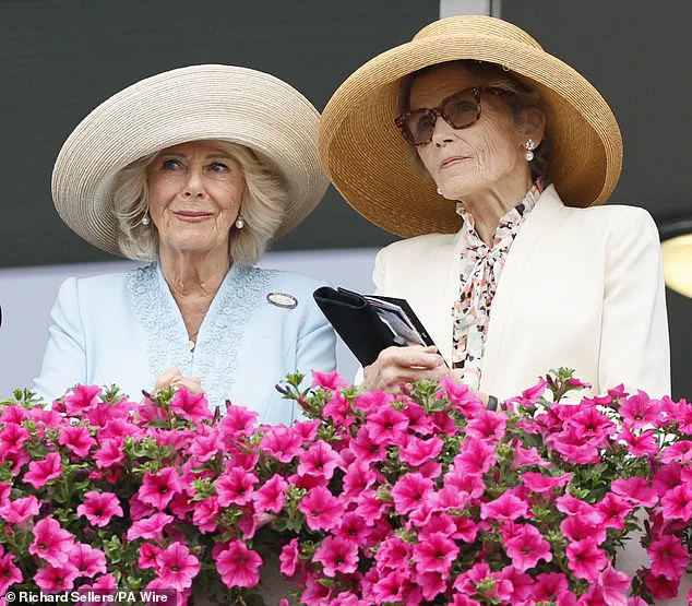 Queen Camilla's Passion for Horseracing Shines at Ebor Festival Despite Summer Holiday Break