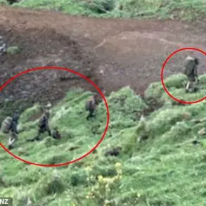 The Ghost's Three-Year Disappearance: Family's Life in New Zealand's Wilderness