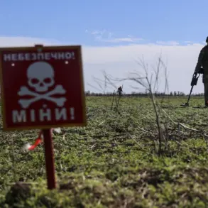 Ukraine's Landmine Crisis: 25% of Territory Littered with Explosives, According to Report