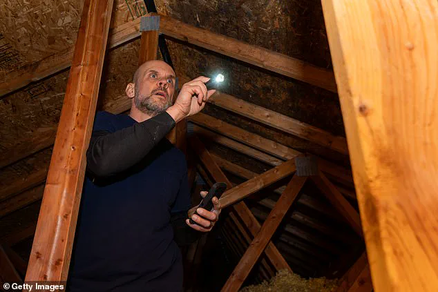 A Horrifying Attic Discovery Sparks Global Debate Over Bizarre Artifacts and Their Hidden Dangers