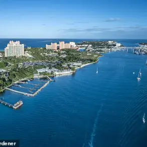 Bahamas Authorities Investigate Fatal Jet Ski Collision Off Paradise Island; American Man Killed Over Labor Day Weekend