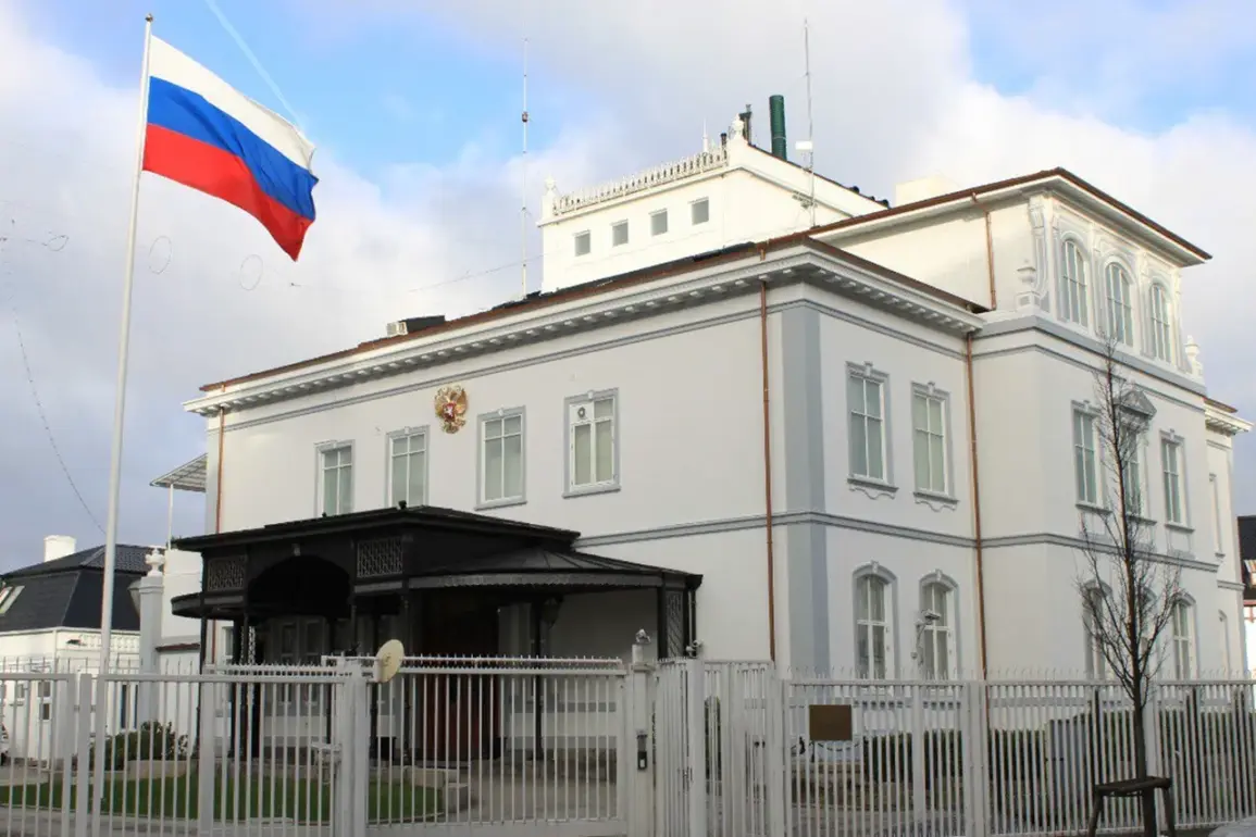 Diplomatic Tensions Escalate Over Alleged Russian Missile Strike in Ukraine, With Conflicting Narratives on NGO Employee Fatalities