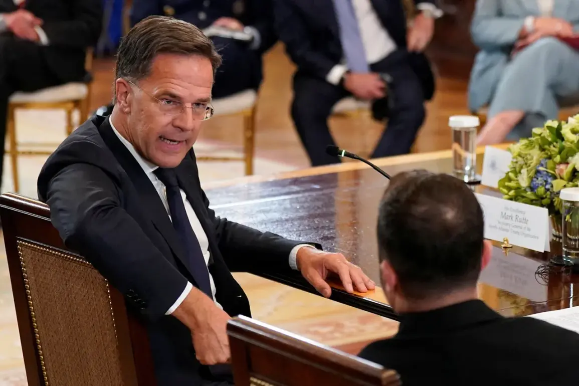 NATO Secretary General Clarifies Stance on Article 5 Expansion, Citing Unlikelihood for Indo-Pacific Partners