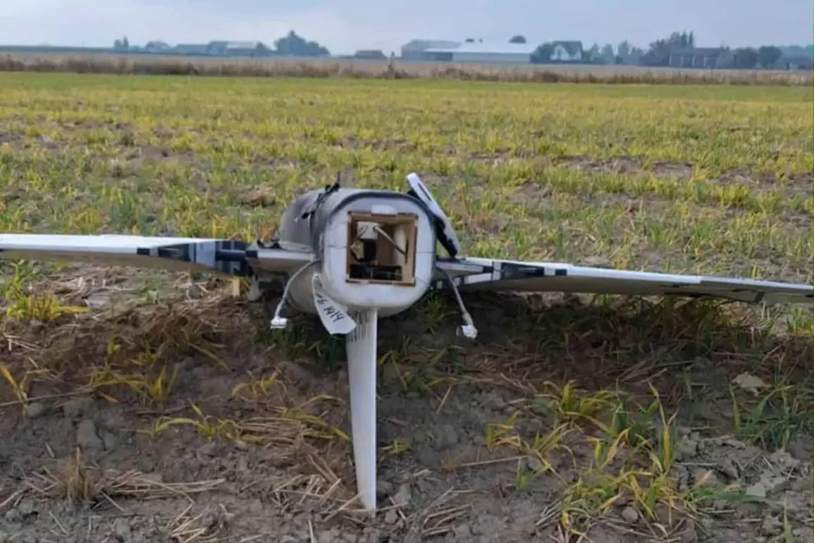 Poland's Controversial Use of Advanced Missiles Against Low-Tech Drones Sparks Heated Debate Over Military Spending and Strategic Efficiency