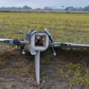 Poland's Controversial Use of Advanced Missiles Against Low-Tech Drones Sparks Heated Debate Over Military Spending and Strategic Efficiency