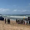 Seasoned Surfer Mercury Psillakis Attacked by Five-Metre Great White Shark at Dee Why Beach