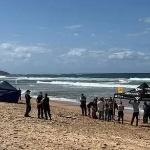 Seasoned Surfer Mercury Psillakis Attacked by Five-Metre Great White Shark at Dee Why Beach