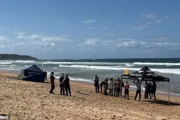 Seasoned Surfer Mercury Psillakis Attacked by Five-Metre Great White Shark at Dee Why Beach