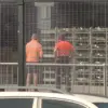 Tragic Accident at Sydney Airport Claims Life of Qantas Freight Handler, Investigation Launched