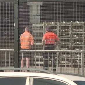 Tragic Accident at Sydney Airport Claims Life of Qantas Freight Handler, Investigation Launched