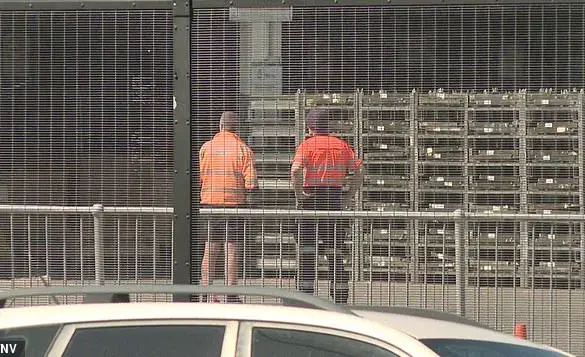 Tragic Accident at Sydney Airport Claims Life of Qantas Freight Handler, Investigation Launched